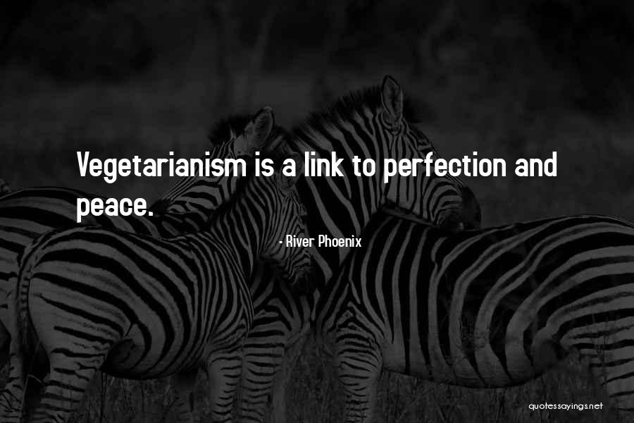 Hater Blocker Quotes By River Phoenix Hater Blocker Quotes By River Phoenix