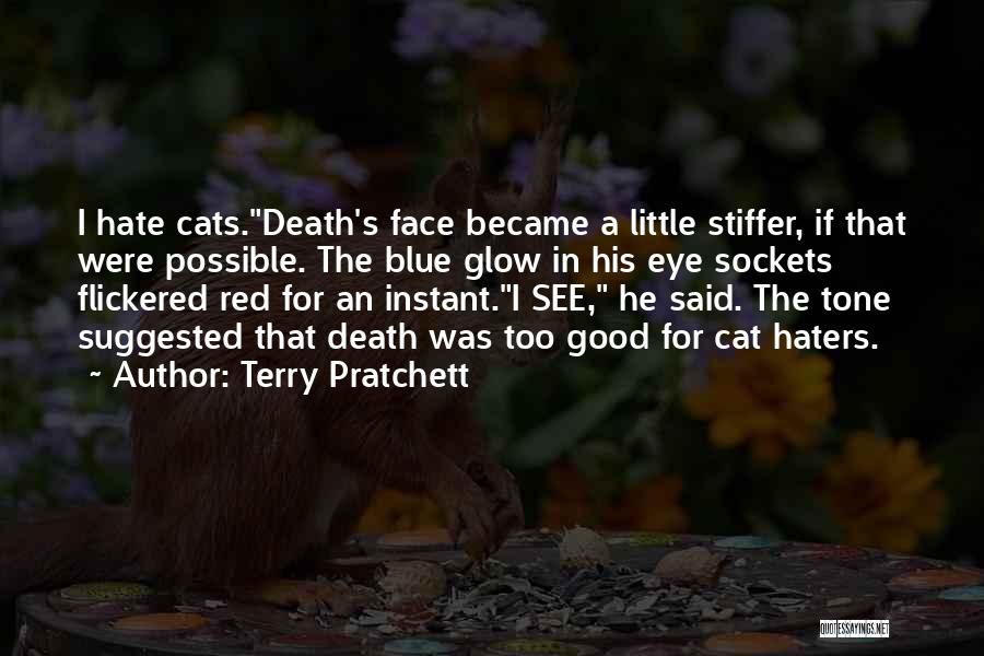 Haters Can't See Me Quotes By Terry Pratchett