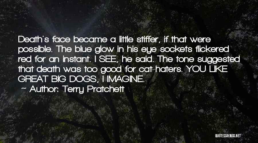 Haters Can't See Me Quotes By Terry Pratchett