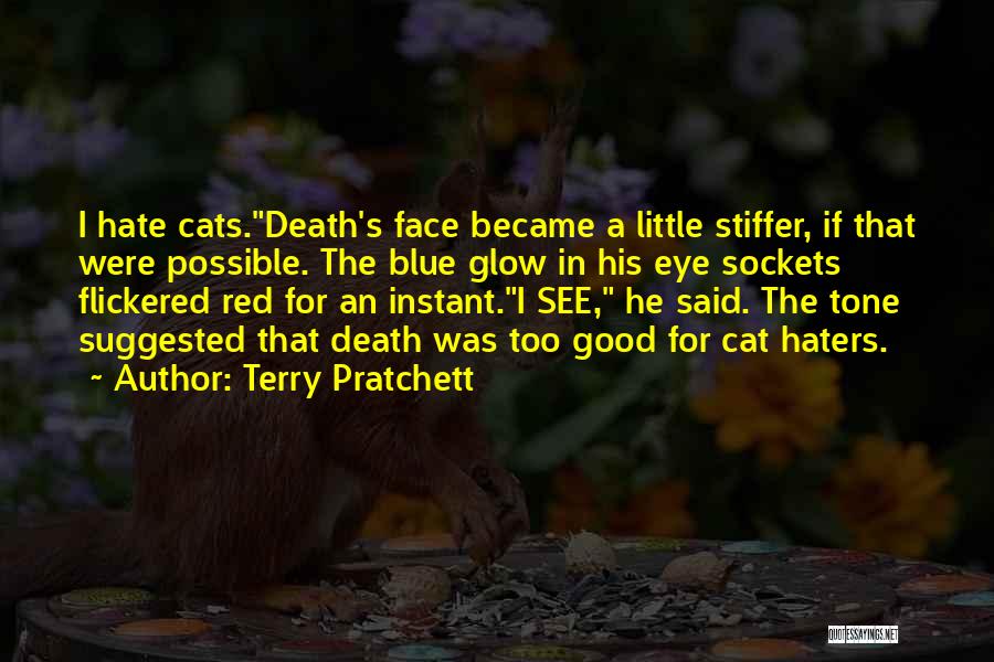 Haters Hate Me Quotes By Terry Pratchett