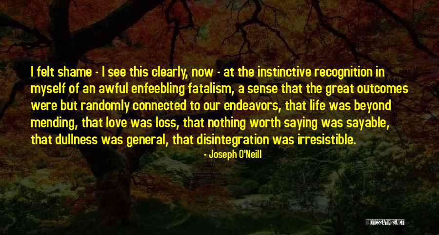 Hati Nurani Quotes By Joseph O'Neill Hati Nurani Quotes By Joseph O'Neill