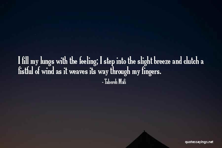 Hatimals Quotes By Tahereh Mafi Hatimals Quotes By Tahereh Mafi