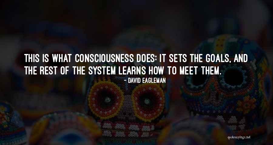 Hatinya Pkk Quotes By David Eagleman Hatinya Pkk Quotes By David Eagleman