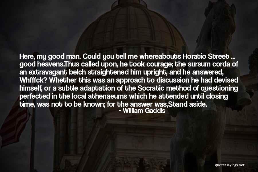Hatke Story Quotes By William Gaddis Hatke Story Quotes By William Gaddis