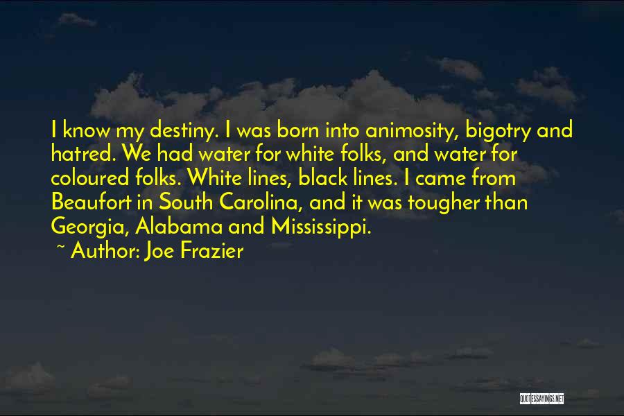 Hatred And Bigotry Quotes By Joe Frazier