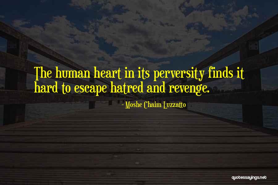 Hatred And Forgiveness Quotes By Moshe Chaim Luzzatto Hatred And Forgiveness Quotes By Moshe Chaim Luzzatto