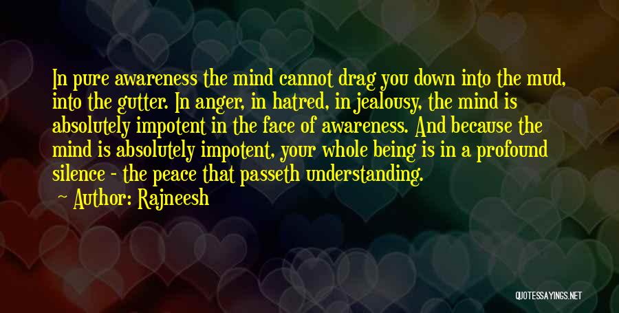 Hatred And Jealousy Quotes By Rajneesh
