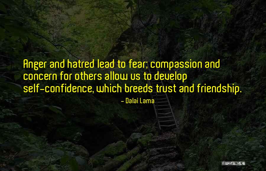 Hatred Friendship Quotes By Dalai Lama Hatred Friendship Quotes By Dalai Lama