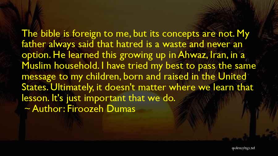 Hatred To Father Quotes By Firoozeh Dumas