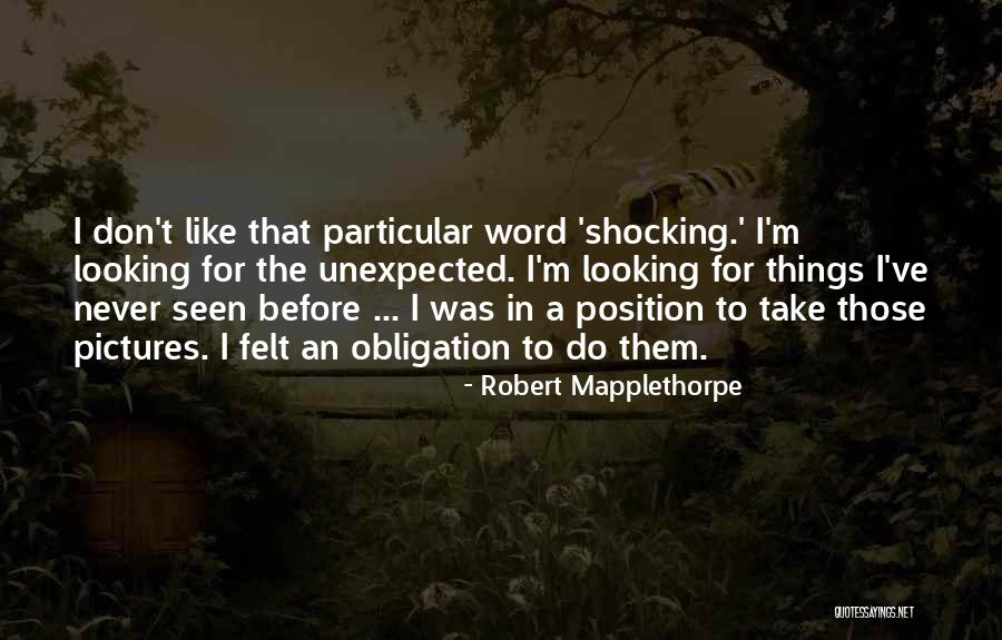 Hatreds Shadow Quotes By Robert Mapplethorpe Hatreds Shadow Quotes By Robert Mapplethorpe