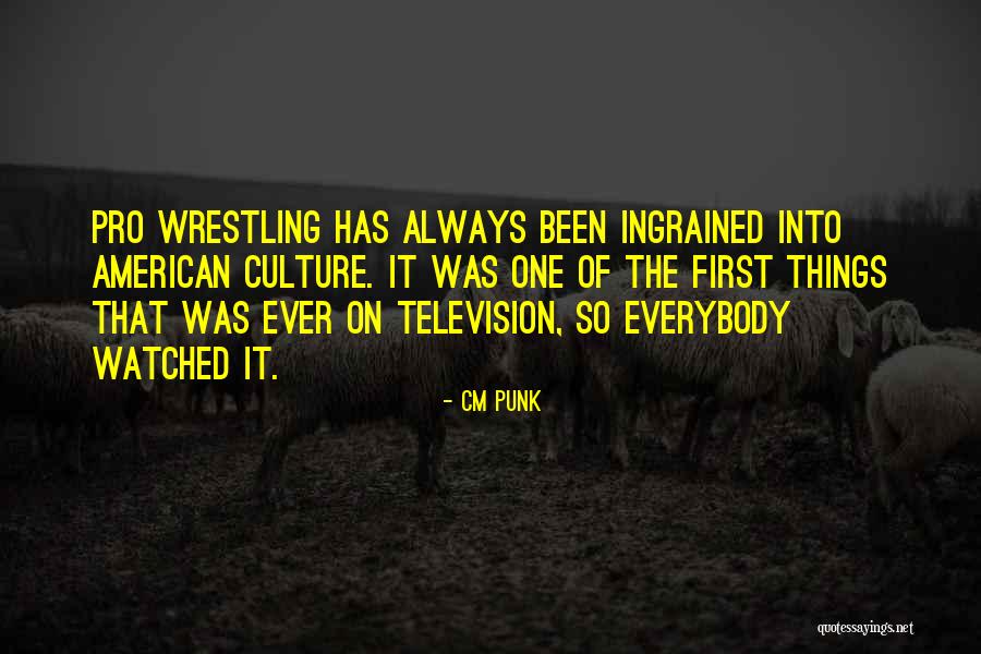 Hattab24 Quotes By CM Punk Hattab24 Quotes By CM Punk