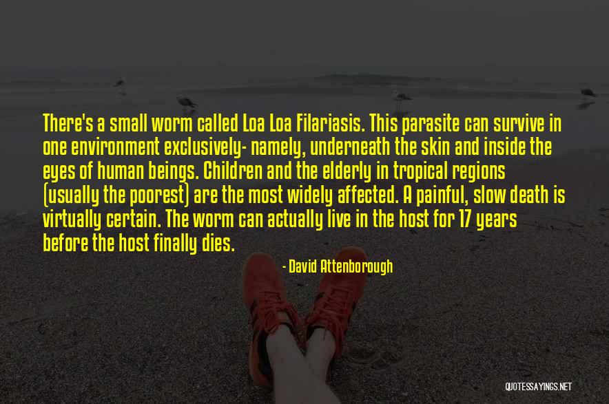 Hattendorf Bliss Quotes By David Attenborough