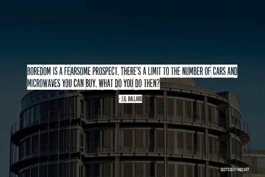 Hattifattener Quotes By J.G. Ballard Hattifattener Quotes By J.G. Ballard