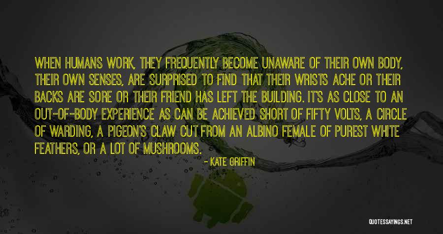 Hattix Comedy Quotes By Kate Griffin Hattix Comedy Quotes By Kate Griffin