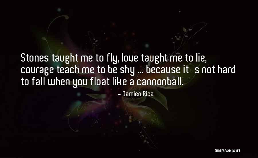 Hatz Engines Quotes By Damien Rice Hatz Engines Quotes By Damien Rice