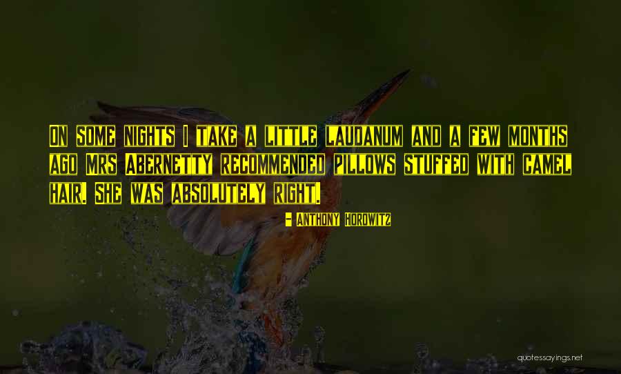 Hauberg Stela Quotes By Anthony Horowitz Hauberg Stela Quotes By Anthony Horowitz