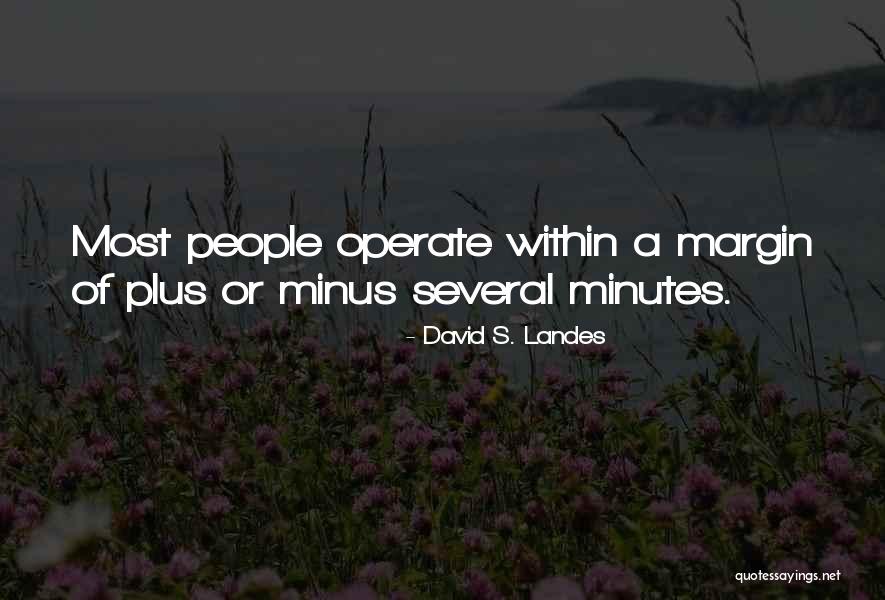 Haukeschmidt Quotes By David S. Landes Haukeschmidt Quotes By David S. Landes