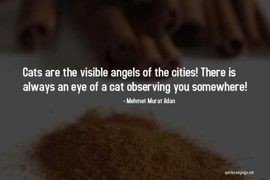 Haulbrooke Quotes By Mehmet Murat Ildan Haulbrooke Quotes By Mehmet Murat Ildan