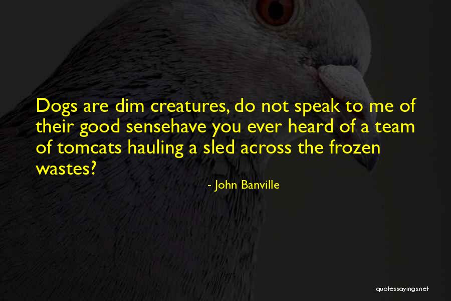 Hauling Quotes By John Banville Hauling Quotes By John Banville