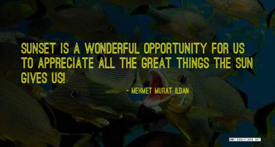 Haultain Sage Quotes By Mehmet Murat Ildan Haultain Sage Quotes By Mehmet Murat Ildan