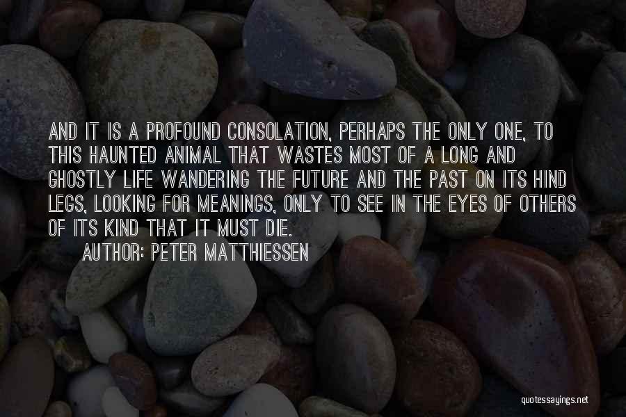 Haunted Quotes By Peter Matthiessen