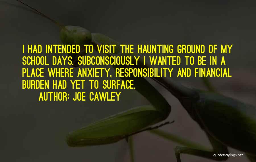 Haunting Ground Quotes By Joe Cawley