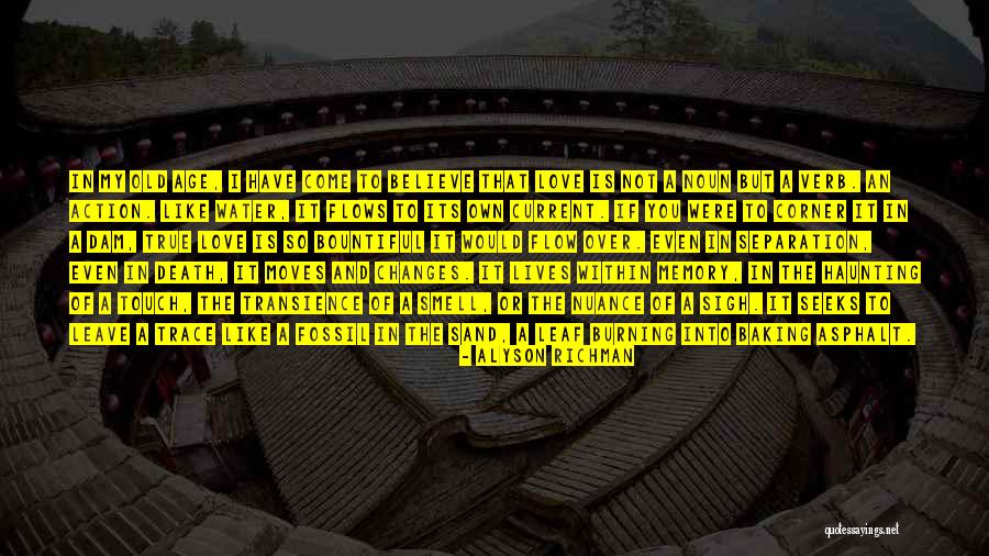 Haunting You Quotes By Alyson Richman Haunting You Quotes By Alyson Richman