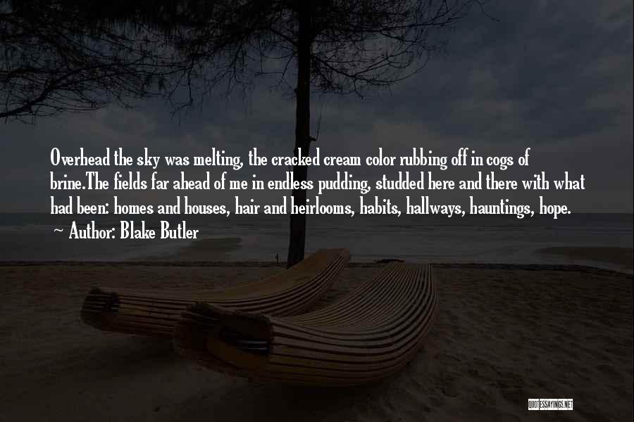 Hauntings Quotes By Blake Butler