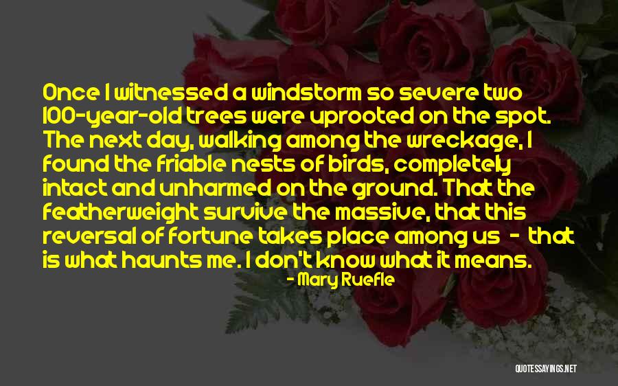 Haunts Us Quotes By Mary Ruefle Haunts Us Quotes By Mary Ruefle