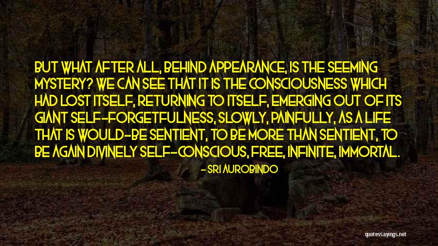 Hauptteil Facharbeit Quotes By Sri Aurobindo Hauptteil Facharbeit Quotes By Sri Aurobindo