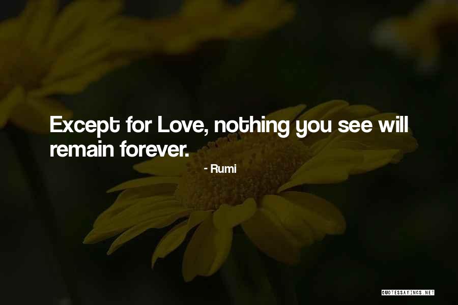 Haus Quotes By Rumi