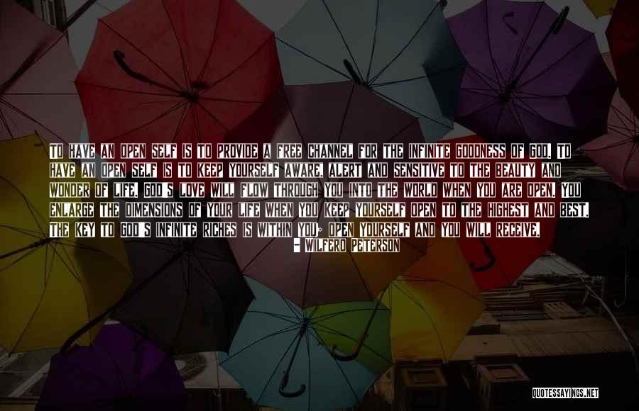 Haus Quotes By Wilferd Peterson