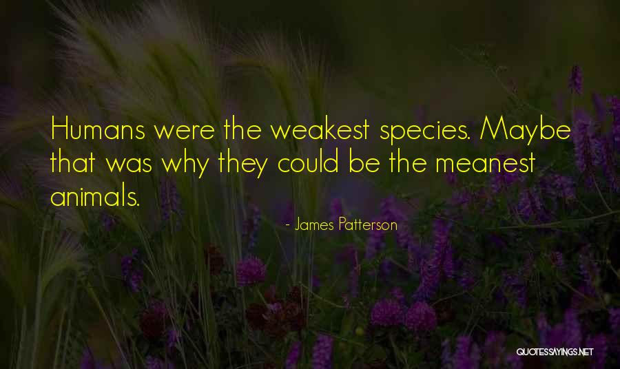 Hausschuhe Superfit Quotes By James Patterson Hausschuhe Superfit Quotes By James Patterson