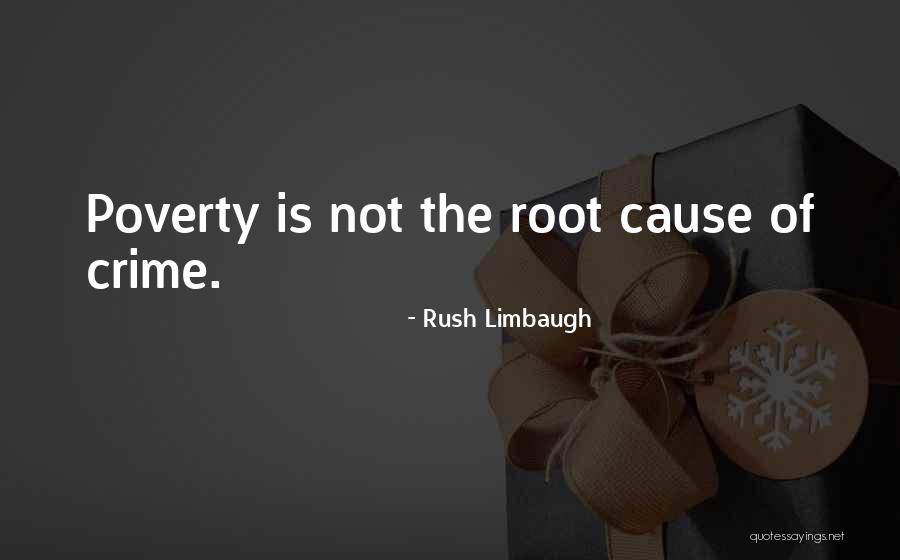 Haussmann Building Quotes By Rush Limbaugh