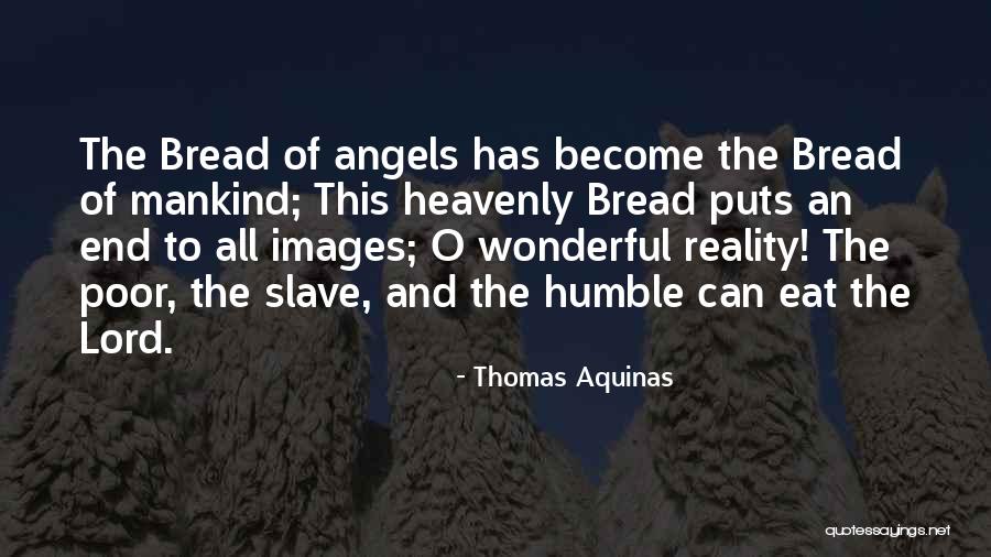 Haustration Quotes By Thomas Aquinas Haustration Quotes By Thomas Aquinas