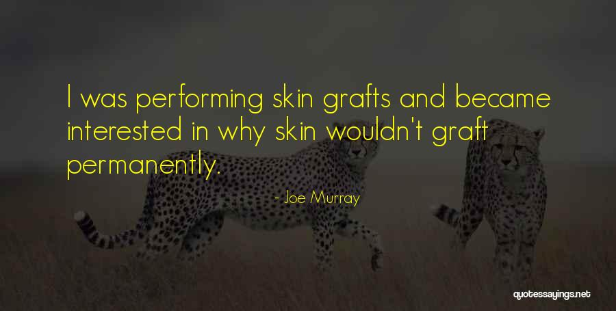 Hausts Phoenix Quotes By Joe Murray Hausts Phoenix Quotes By Joe Murray