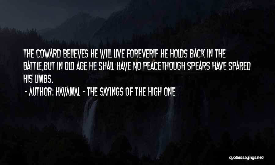 Havamal - The Sayings Of The High One Quotes 919468