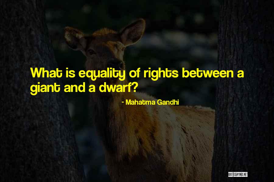 Havannah Meads Quotes By Mahatma Gandhi