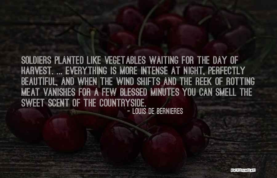 Have A Beautiful Blessed Day Quotes By Louis De Bernieres