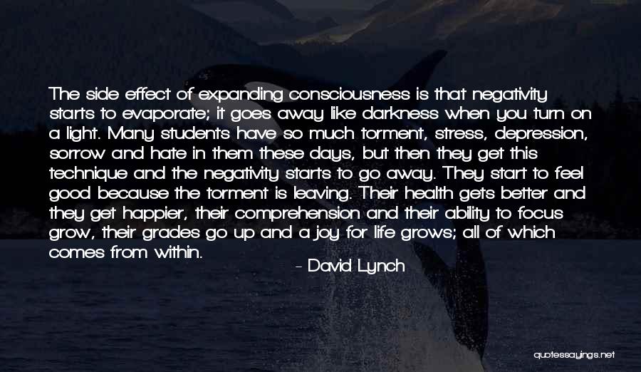 Have A Better Life Quotes By David Lynch Have A Better Life Quotes By David Lynch