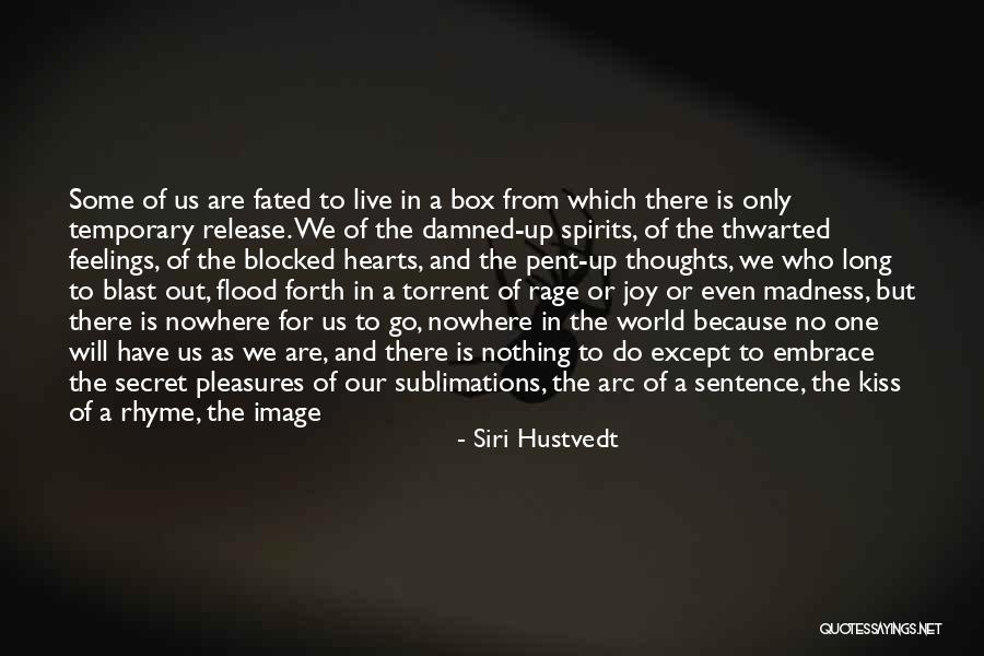 Have A Blast Quotes By Siri Hustvedt Have A Blast Quotes By Siri Hustvedt