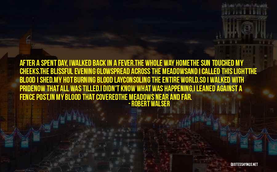 Have A Blissful Day Quotes By Robert Walser