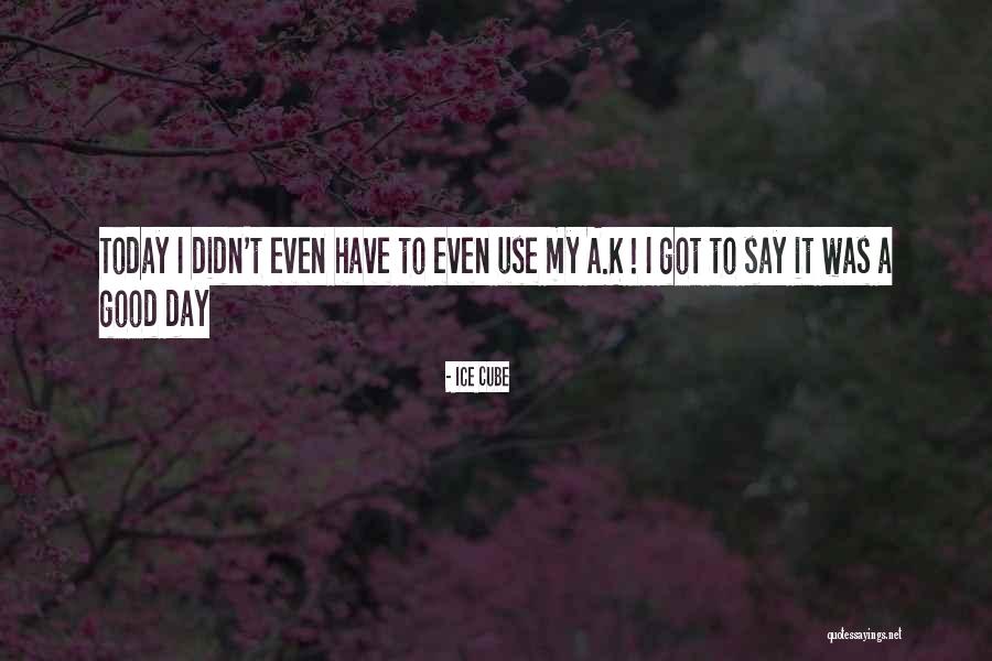 Have A Good Day Today Quotes By Ice Cube Have A Good Day Today Quotes By Ice Cube