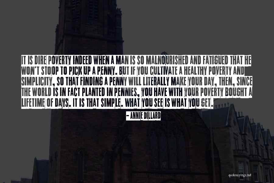 Have A Healthy Day Quotes By Annie Dillard Have A Healthy Day Quotes By Annie Dillard