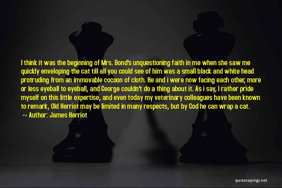 Have A Little Faith In Me Quotes By James Herriot