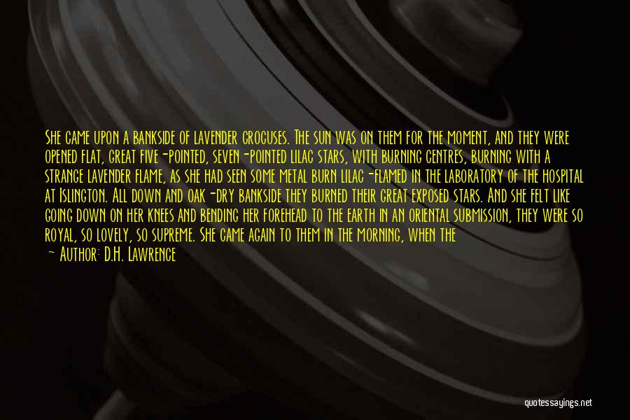 Have A Lovely Morning Quotes By D.H. Lawrence