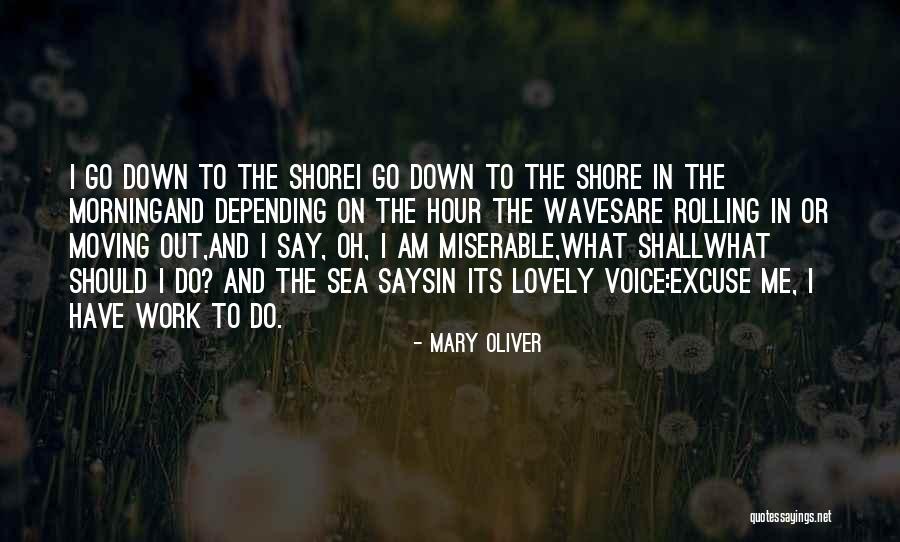 Have A Lovely Morning Quotes By Mary Oliver