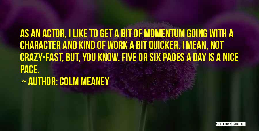 Have A Nice Day At Work Quotes By Colm Meaney