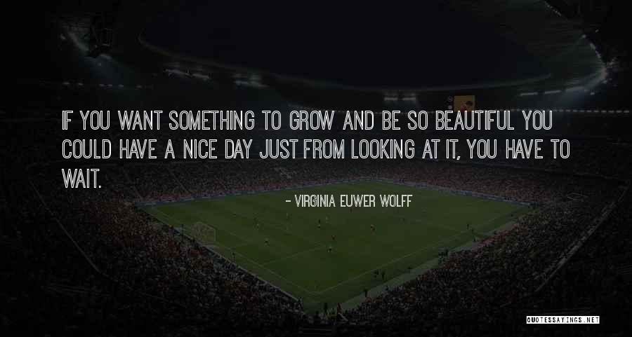 Have A Nice Day Beautiful Quotes By Virginia Euwer Wolff Have A Nice Day Beautiful Quotes By Virginia Euwer Wolff