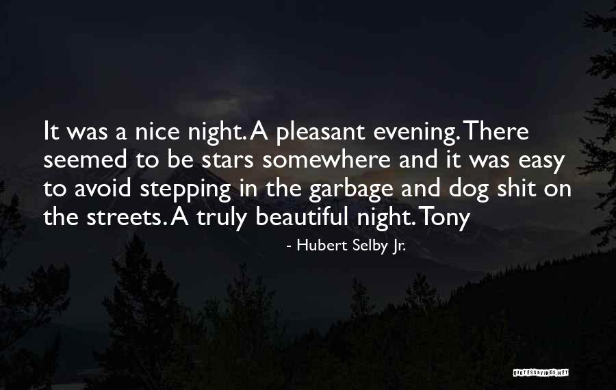 Have A Pleasant Night Quotes By Hubert Selby Jr.